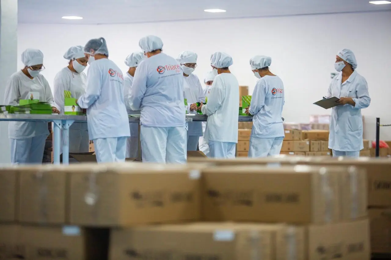 Equipe da Triace em sala controlada, de uniforme, touca e máscara, durante montagem e conferência de lote.